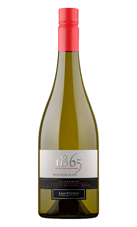 Vinho San Pedro Branco Seco Chile Selected Vienyards Sauvignon Blanc 750ml