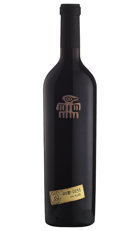 Vinho Bodega Valle de La Puerta Tinto Seco Argentina Ícono Malbec 750ml