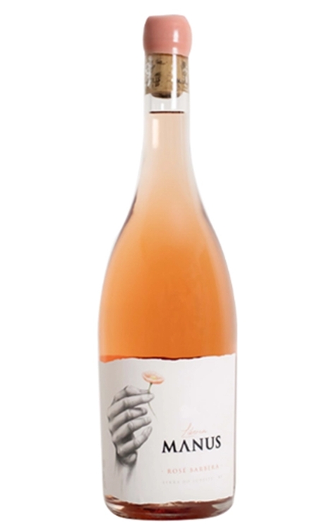 Vinho Manus Rosé Seco Brasil Barbera 750ml