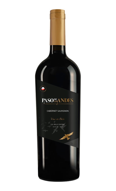 Vinho Kinast Family Wines Tinto Seco Chile Paso de Los Andes Cabernet Sauvignon 750ml