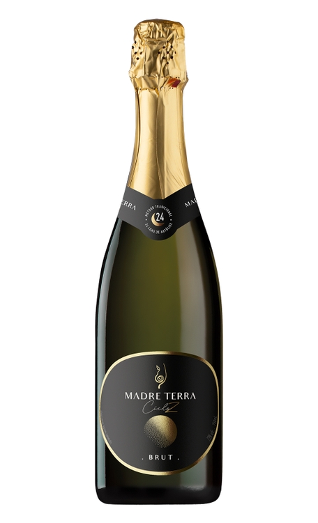 Espumante Madre Terra Branco Brut Brasil Cicloz Pinot Noir 750ml