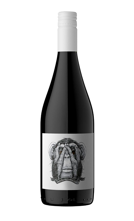 Vinho Passionate Wines Tinto Seco Argentina Malbec, Syrah 750ml