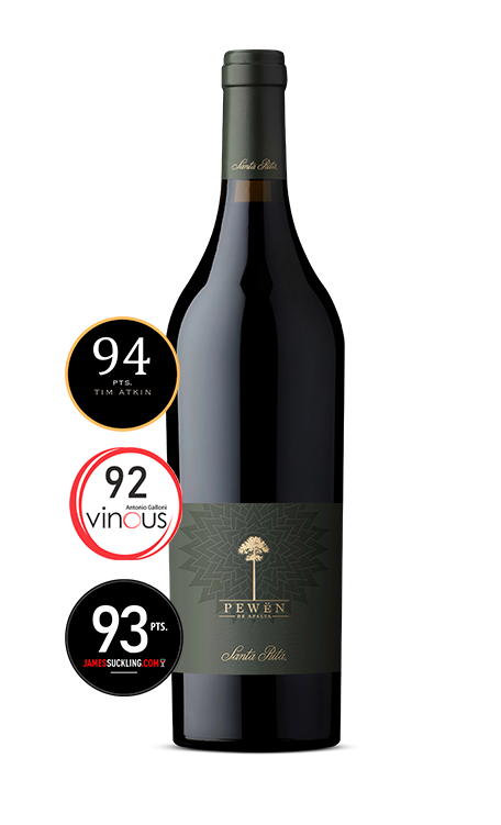 Vinho Viña Santa Rita Tinto Seco Chile Pewén Carménère 750ml