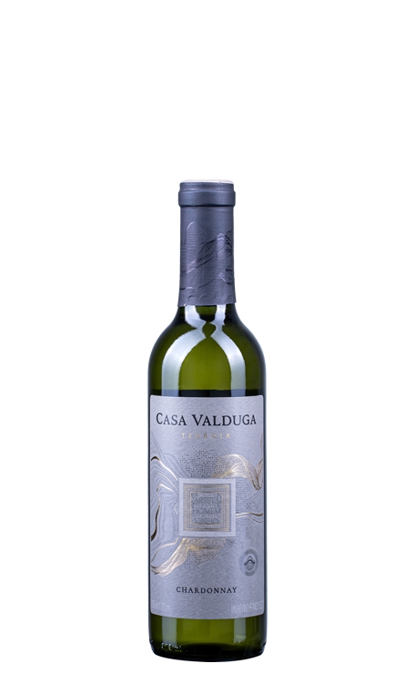 Vinho Casa Valduga Branco Seco Brasil Terroir Chardonnay 375ml
