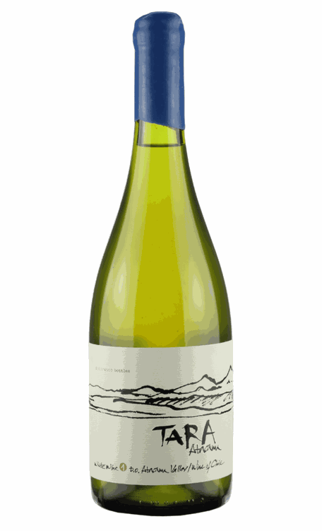 Vinho Ventisquero Branco Seco Chile Tara Sauvignon Blanc 750ml