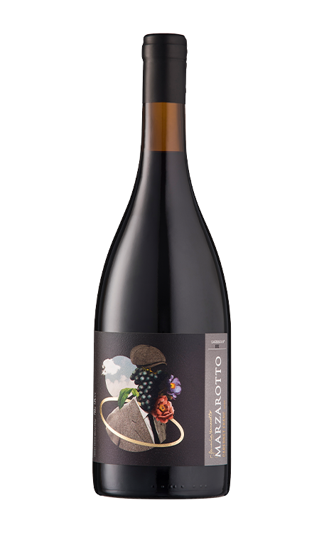 Vinho Marzarotto Tinto Seco Brasil Gran Reserva Cabernet Franc 750ml