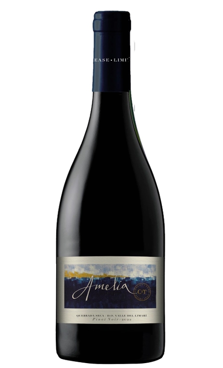 Vinho Viña Meli Tinto Seco Chile Pinot Noir 750ml