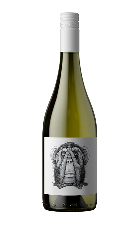 Vinho Passionate Wines Branco Seco Argentina Sauvignon Blanc, Sémillon 750ml