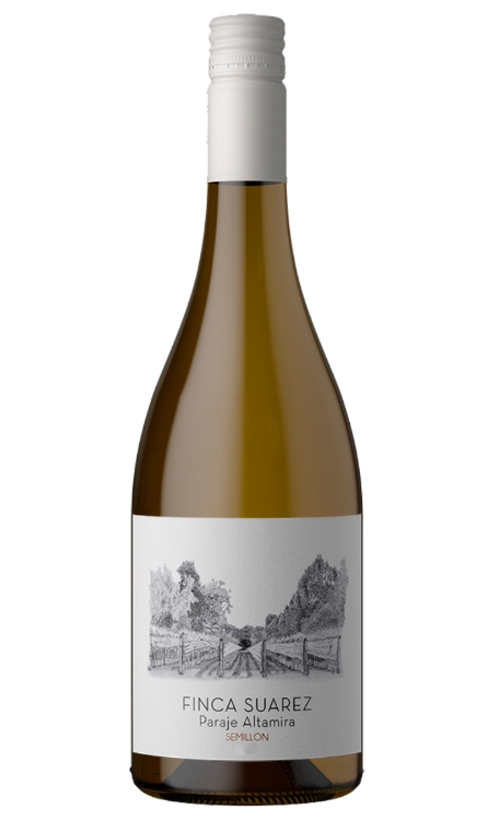 Vinho Finca Suarez Branco Seco Argentina Sémillon 750ml
