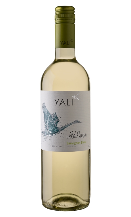 Vinho Yali Branco Seco Chile Wild Swan Sauvignon Blanc 750ml
