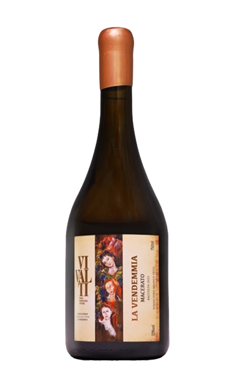 Vinho Vivalti Branco Seco Brasil Macerato Alvarinho 750ml