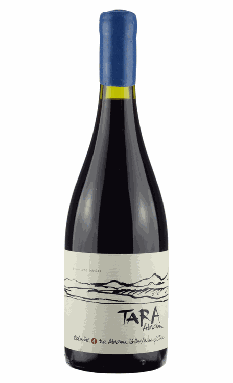 Vinho Ventisquero Tinto Seco Chile Tara Pinot Noir 750ml