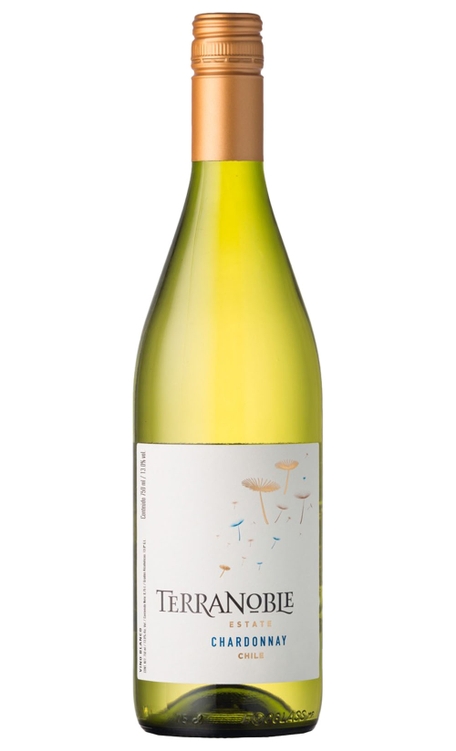 Vinho Terranoble Branco Seco Chile Varietal Chardonnay 750ml